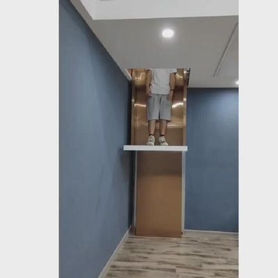 30M Travel Domestik Lift Hidraulik 400Kg Kompak Lift Rumah Hidraulik