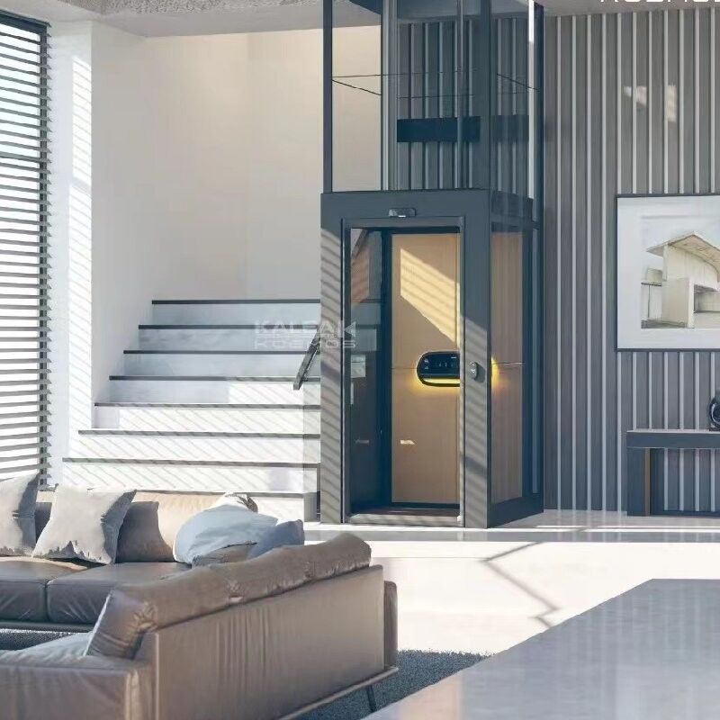 Lift Rumah Dengan Sekrup 500kg Lift Kecil Untuk Rumah