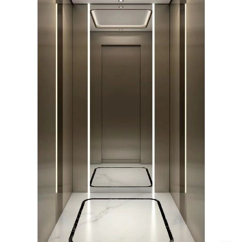 Single Phase AC Residential Hydraulic Elevators Dengan Silinder Besar 2,9M Untuk Lantai Dek