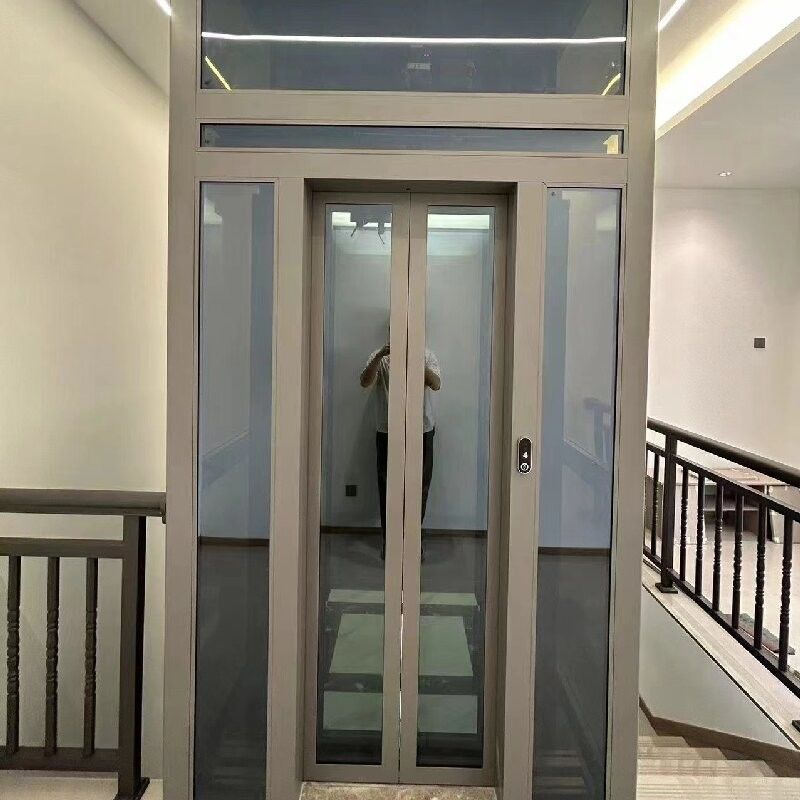 Silent Home Traction Lift Tanpa Gir Dan Pintu Otomatis Villa Lift Lift